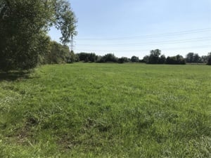 Land At Standlake, Abingdon picture 2