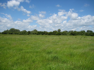 Vale of White Horse picture 2