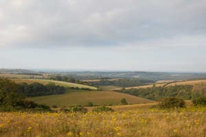 Horsham, South Downs National Park picture 6