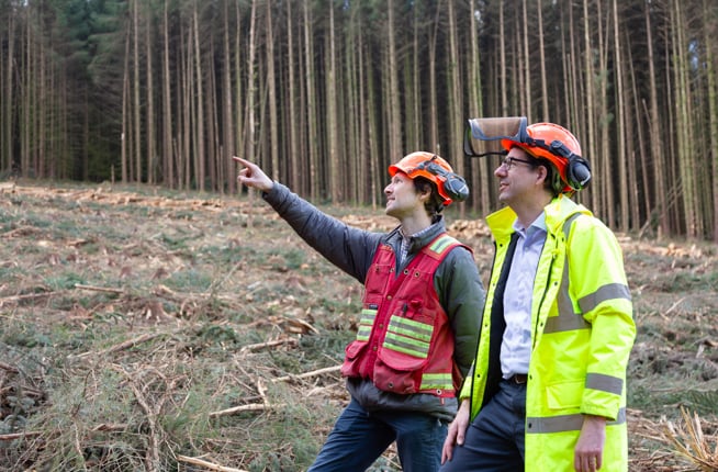 Image of Forestry 3