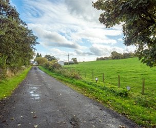 Sauchieburn, Stirling picture 5