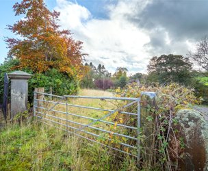 Sauchieburn, Stirling picture 3