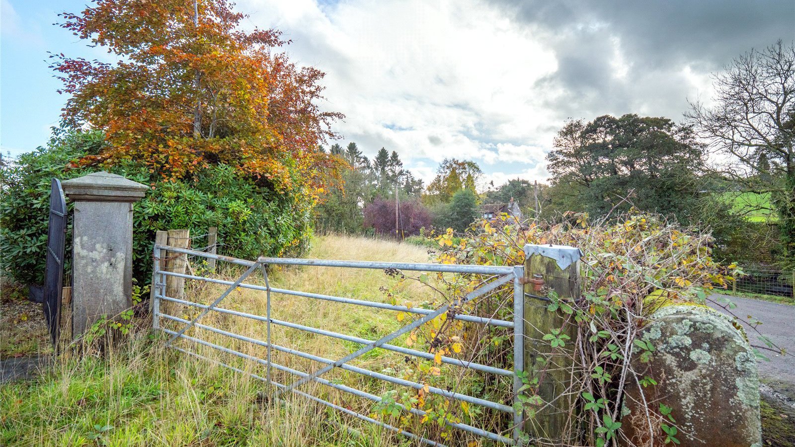 Entrance Gate