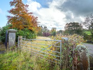 Sauchieburn, Stirling picture 3