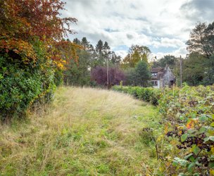 Sauchieburn, Stirling picture 2