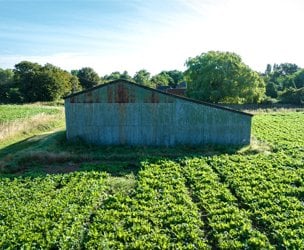 Great Tripps Barn, Shimpling Road picture 5