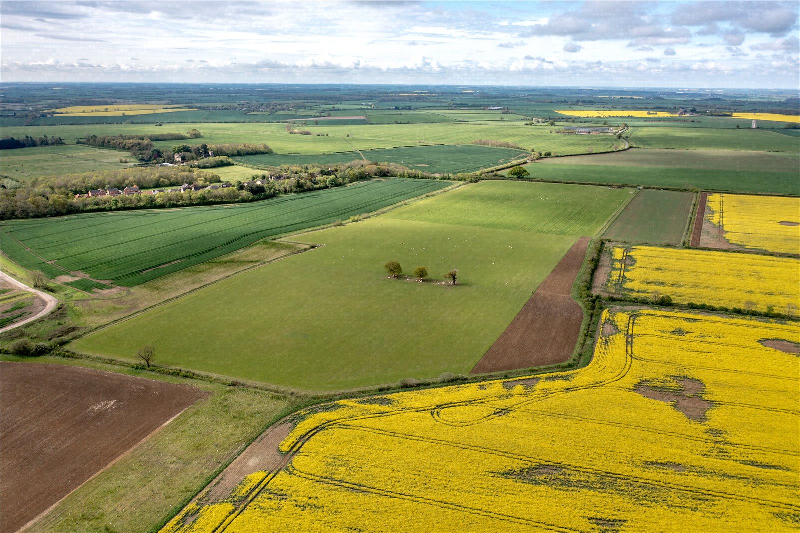 Land for Sale in Scotland