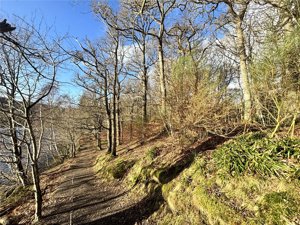 Tummel Crescent and Lagreach Woods, Pitlochry picture 5