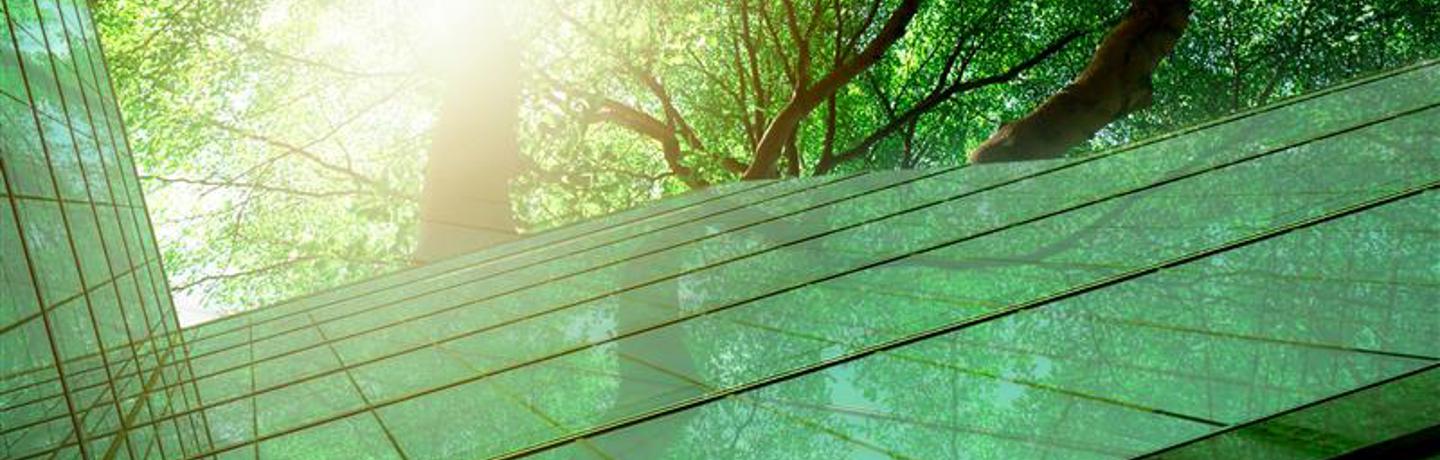 Image of AdobeStock_541980327