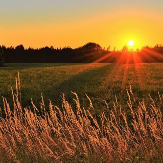 Image of field sunset