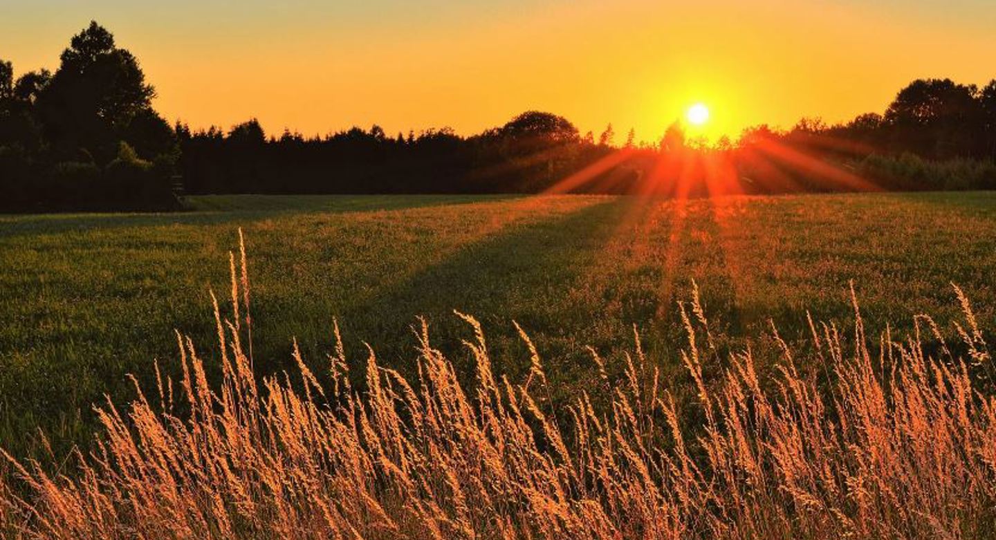 Image of field sunset