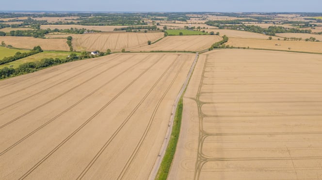 Image of Cottered Farm (42)