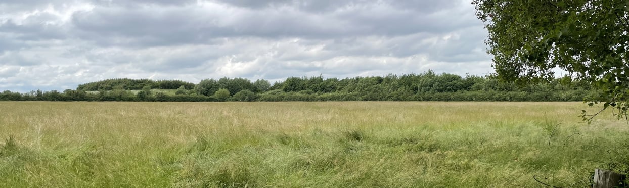 Image of Land at Aston Clinton