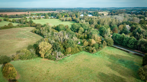 Image of Whittlesford woodland