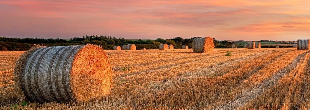 Image of Field with haybale