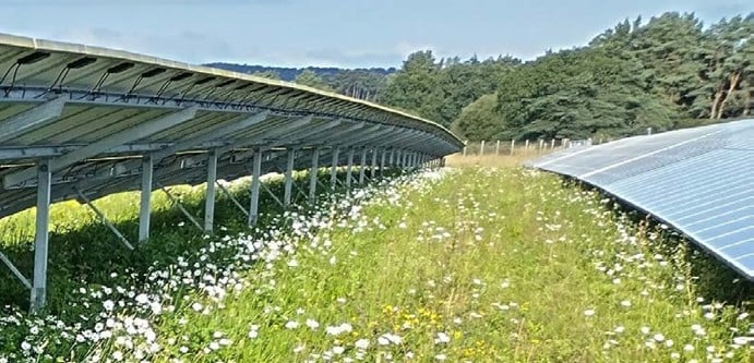 Image of Solar Panels in field cropped